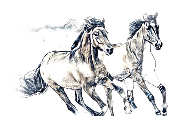 dibujo a mano alzada cabeza de caballo lápiz
 - Foto, imagen