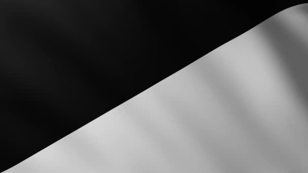 Bandera grande en blanco y negro fondo a pantalla completa ondeando en el viento con patrones de olas
 - Metraje, vídeo