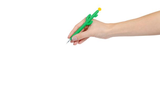 Mano con bolígrafo en forma de cactus, divertida herramienta escolar para niños. Aislado sobre fondo blanco. Copiar espacio, plantilla
. - Foto, Imagen