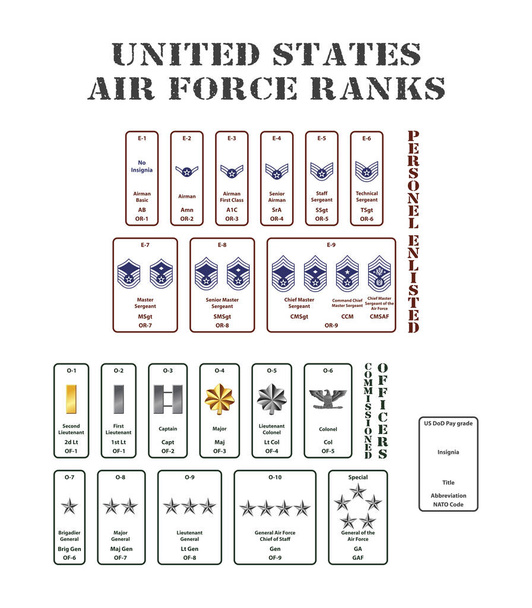 set of the ranks of the united states army corps - Vector, Image