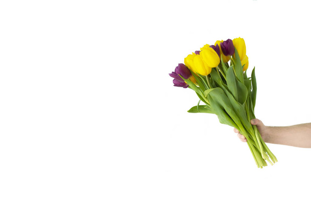 Men hand with yellow and purple tulips bouquet on white. Springtime - Φωτογραφία, εικόνα