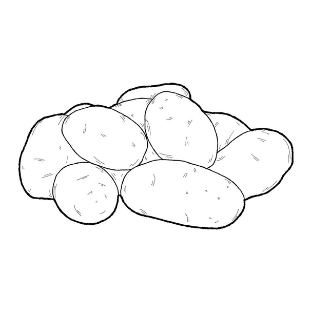 Ilustracja wektor ziemniaka ręcznie rysowane sztuki kreskówek warzywnych - Wektor, obraz