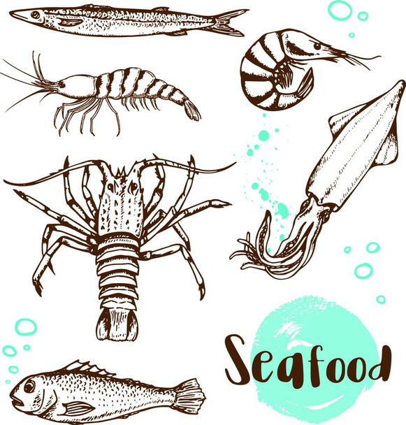 Set of vector vintage hand drawn fish, squid and shrimp on a white background. - Vektori, kuva