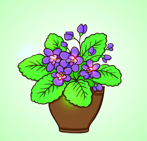 Blooming violets in a flowerpot on a green background. Hand drawn vector illustration. - Vettoriali, immagini