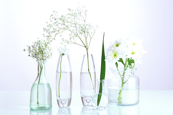 Plants in various glass containers isolated on white - Valokuva, kuva