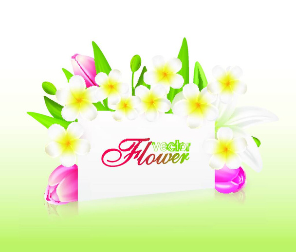 Beautiful flowers with greeting card , vector illustration with tulips and lilies - Vector, Imagen