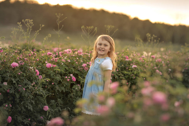 Baby girl, 5-6 years old dressed in a blue dress and straw hat stands in a field of wild flowering rose - Photo, image