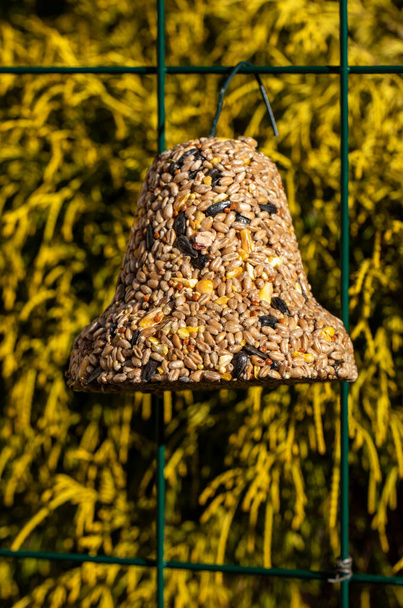 Campana de varios granos, un manjar para todas las aves del jardín - Foto, Imagen