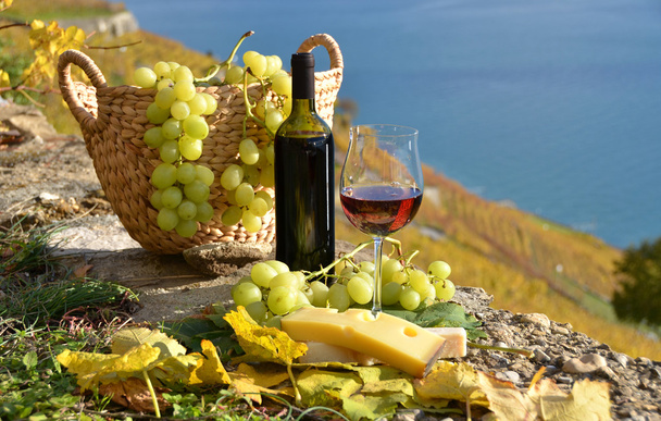 κόκκινο κρασί και σταφύλια στη βεράντα του αμπελώνα - Φωτογραφία, εικόνα