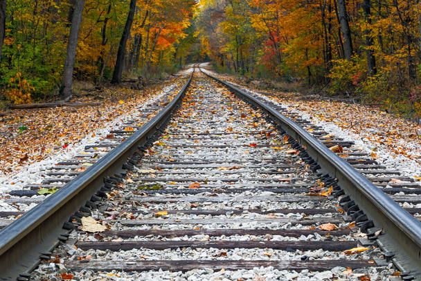 Ferrocarriles de otoño
 - Foto, Imagen