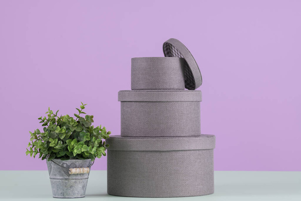 Pile of round boxes with a plant - Foto, afbeelding