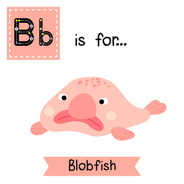 B letter tracing. Pink deep sea Blobfish. Cute children zoo alphabet flash card. Funny cartoon animal. Kids abc education. Learning English vocabulary. Vector illustration. - Wektor, obraz