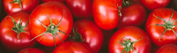 Heap of red fresh ripe tomatoes in a row, organic bio vegetables - Φωτογραφία, εικόνα