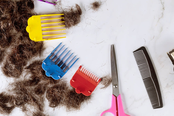 Accesories strzyżenie włosów na obrobionej stercie ściętych włosów na nożyczkach i grzebieniu - Zdjęcie, obraz