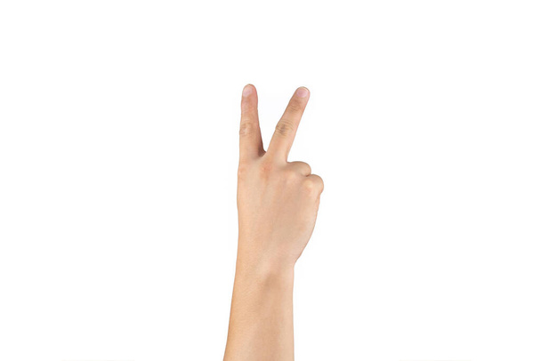 El dorso asiático muestra y cuenta con 2 (dos) signos en el dedo sobre un fondo blanco aislado. Ruta de recorte
 - Foto, Imagen