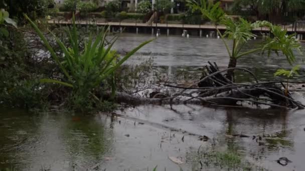 powódź spowodowana stałym ulewnym deszczem na Gold Coast, Queensland, Australia - Materiał filmowy, wideo
