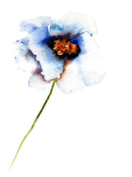 άνοιξη λουλούδι - Φωτογραφία, εικόνα