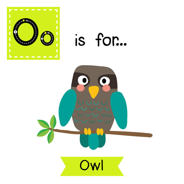 Letter O tracing. Turquoise Owl bird - Vector, Imagen