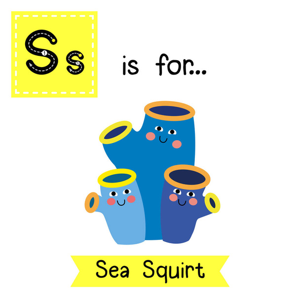 Letter S tracing. Sea Squirt. - Vektor, obrázek