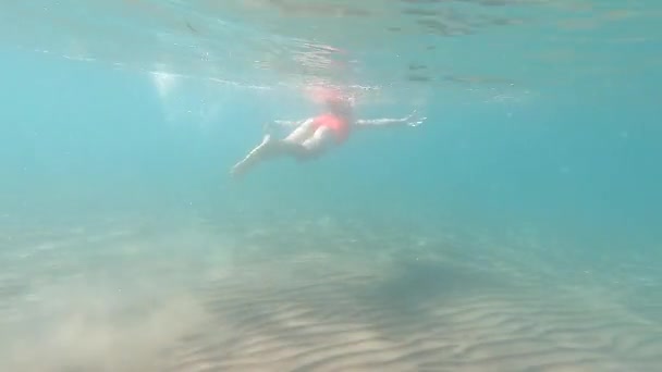 Dziewczyna w czerwonym stroju kąpielowym pływa. Czysta woda i piaszczyste dno. - Materiał filmowy, wideo