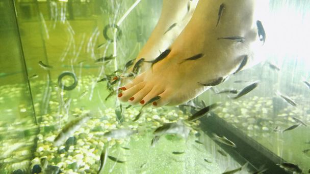 Lasin läpi sato paljain jaloin nainen jäähdytys jalat akvaario veden keskuudessa eläviä kaloja kuumana kesäpäivänä
 - Valokuva, kuva