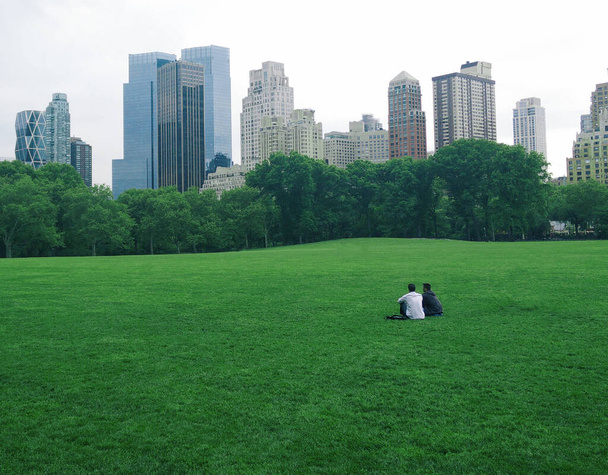 Central park in New York. Two people are sitting alone on the lawn against the background of a green park and skyscrapers. - 写真・画像