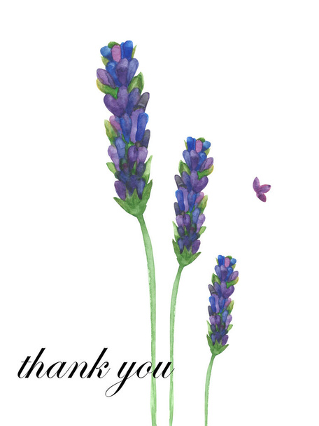 Watercolor hand painted nature floral composition with purple lavender blossom flowers on green stem and petal isolated on the white background with thank you text for greeting cards - Fotó, kép