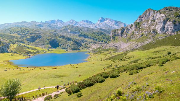 Úžasná krajina Covadonga Lagos de Covadonga v Picos de Europa, Asturias, Španělsko - Fotografie, Obrázek