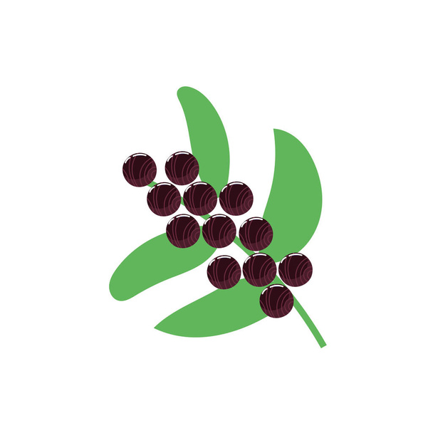 черный смородины экзотические фрукты плоский стиль
 - Вектор,изображение
