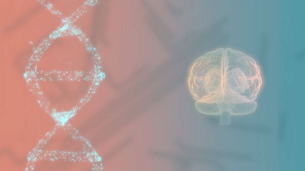 3D εικόνα του ανθρώπινου εγκεφάλου και DNA σπιράλ σε πολύχρωμη οθόνη. - Φωτογραφία, εικόνα