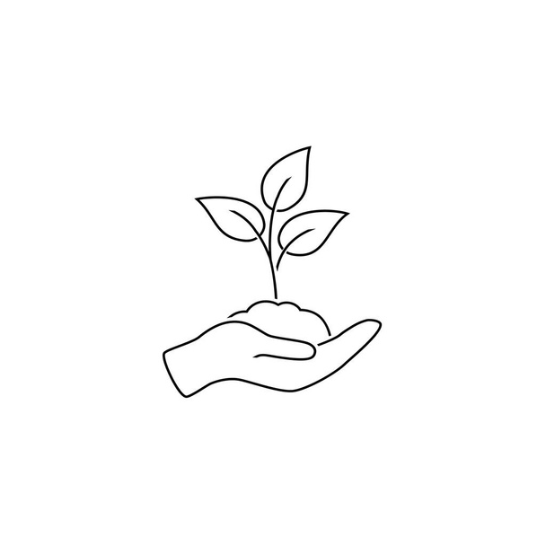 Φύλλο και χέρι, φροντίδα διάνυσμα εικονίδιο γραμμή φύση - Διάνυσμα, εικόνα