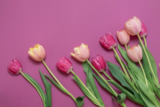 Открытка с красочным весенним цветком тюльпанов. Праздничный букет. Концепция празднования Дня матери, Дня рождения или Дня Святого Валентина. Вид сверху, плоский - Фото, изображение