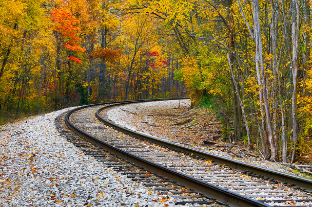 Autumn Railway - Φωτογραφία, εικόνα
