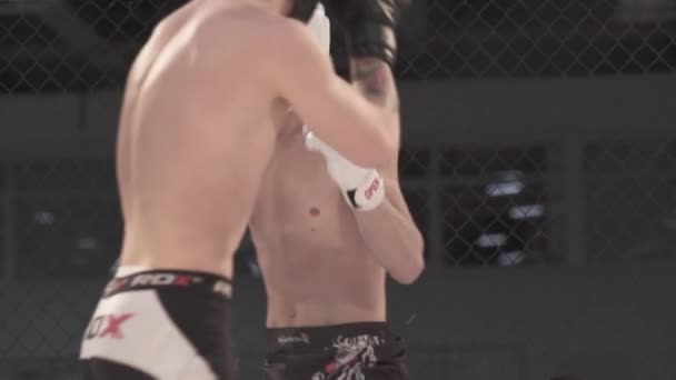 Fight in the MMA octagon. Slow motion. Kyiv. Ukraine - Záběry, video