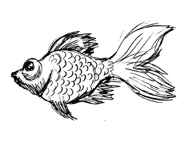 Vector, hand drawn, sketch, cartoon illustration of goldfish. Motives of underwater life, wildlife, fairy tales, aquatic animals - Vector, Image