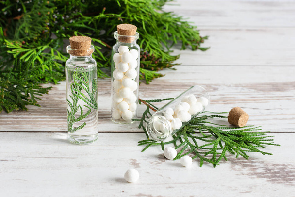 Thuja kruidenpillen en verse takken van thuja op witte houten tafel. Flessen homeopathische bolletjes. Homeopathie geneeskunde concept. - Foto, afbeelding