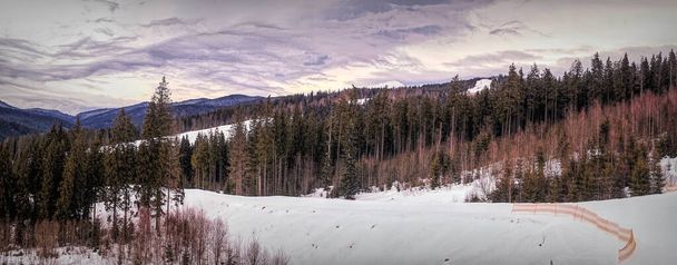 Winterbewolkt landschap van het Karpaten gebergte in Oost-Europa - Foto, afbeelding