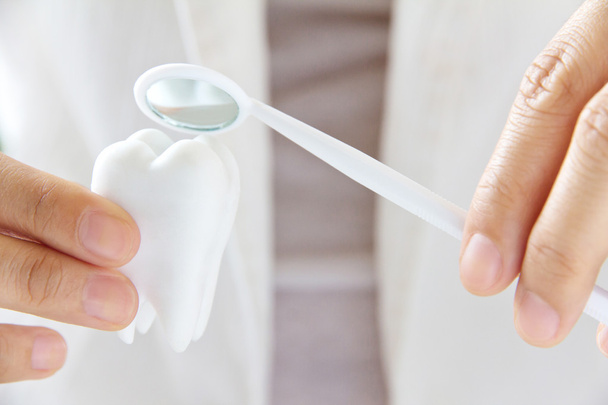 Dentista che tiene molare con pennello
 - Foto, immagini