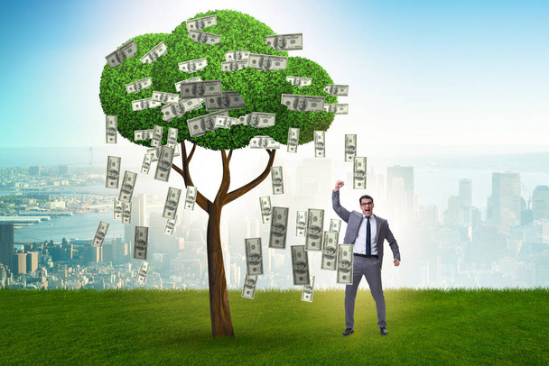 Empresario con árbol de dinero en concepto de negocio
 - Foto, imagen
