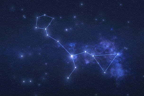 Cetus Constellation ulkoavaruudessa. Valas tähdistö tähdet tähdistö linjat Elementit tämän kuvan oli kalustettu NASA
  - Valokuva, kuva