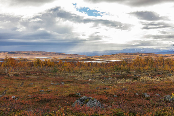 Mountains of Sarek National Park in Lapland, autumn, Sweden, selective focus - Фото, изображение