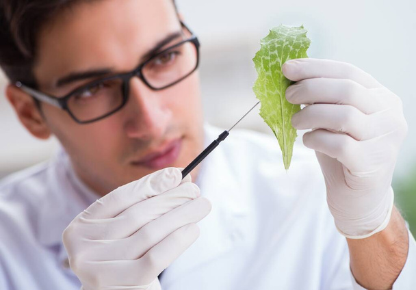 Biotechnology scientist chemist working in lab - Фото, зображення