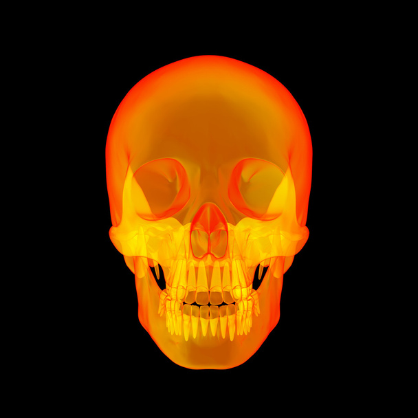 Изолированный рентгеновский череп человека на черном фоне - вид спереди
 - Фото, изображение