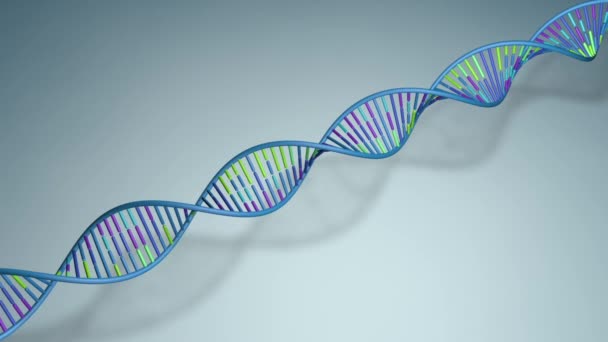 Larga secuencia de ADN de color azul, verde y púrpura girando lentamente sobre un fondo azul proyectando sombra en el suelo. Animación 3D
 - Imágenes, Vídeo