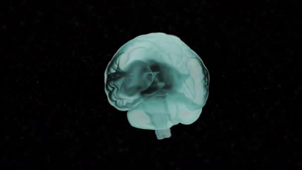 Hersenanatomie. Realistische menselijke hersenen in groene tinten roteren over zwart o achtergrond. - Video