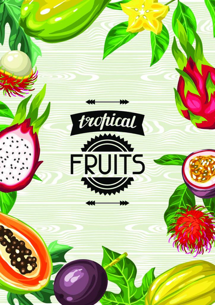 Background with exotic tropical fruits. Illustration of asian plants. Background with exotic tropical fruits. Illustration of asian plants. - Vector, Imagen