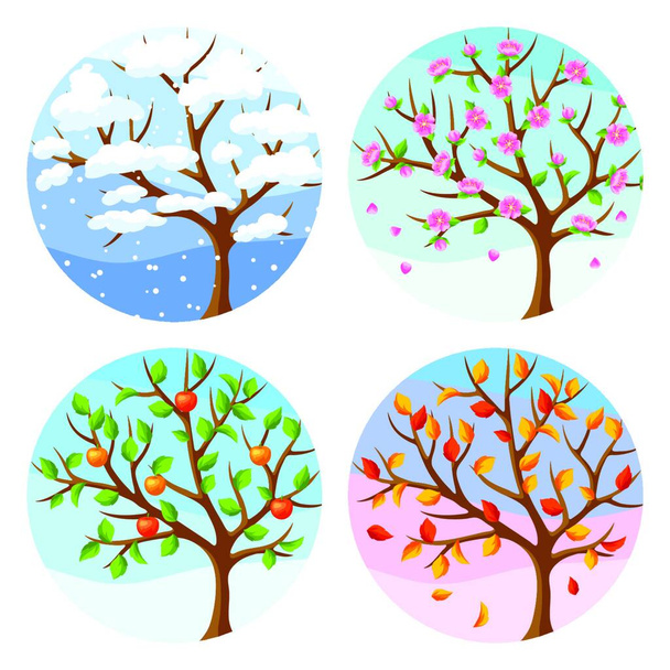 Four seasons. Illustration of tree and landscape in winter, spring, summer, autumn - Vetor, Imagem