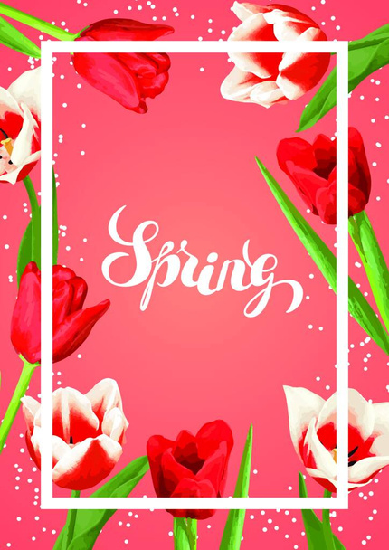 Spring background with red and white tulips. Beautiful realistic flowers, buds and leaves. Spring background with red and white tulips. Beautiful realistic flowers, buds and leaves. - Vector, imagen