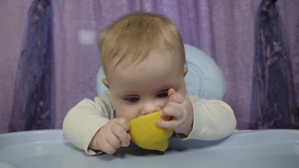 A small boy tastes yellow lemon - Πλάνα, βίντεο