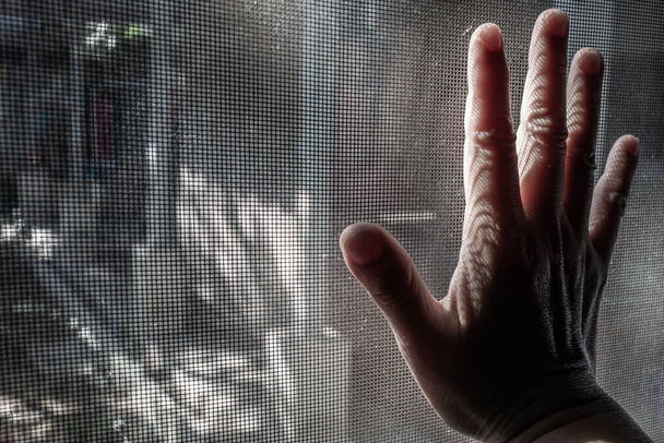 La main droite de la femme touchant la poussière Fenêtre moustiquaire sale, Lumière & Ombre, Silhouette, Gros plan
 - Photo, image
